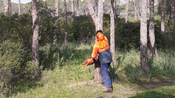 Mancate assunzioni a Forestas, un incontro il primo aprile a Sorgono