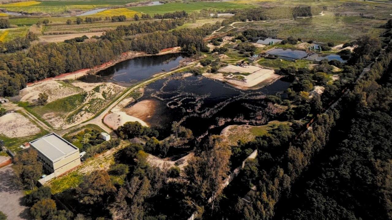Allarme ambiente nella pineta, la foto choc: laghi neri a due passi dal mare – Cosa sappiamo