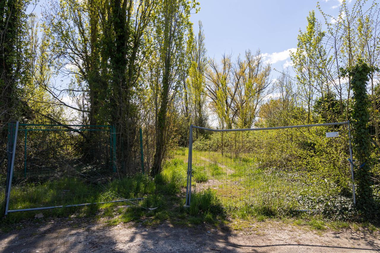 Laghetti di Aguscello, da oasi di pace a luogo degradato e sporco