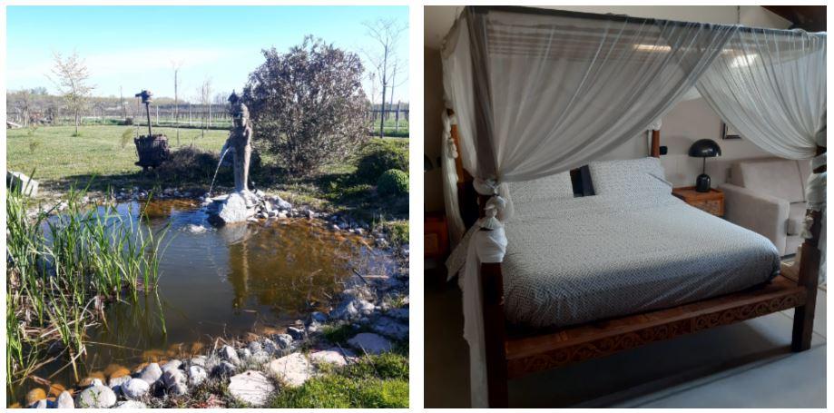 Dal “Peace in Po” al B&b “Il Fienile” la nuova sfida di Guido Chiericati