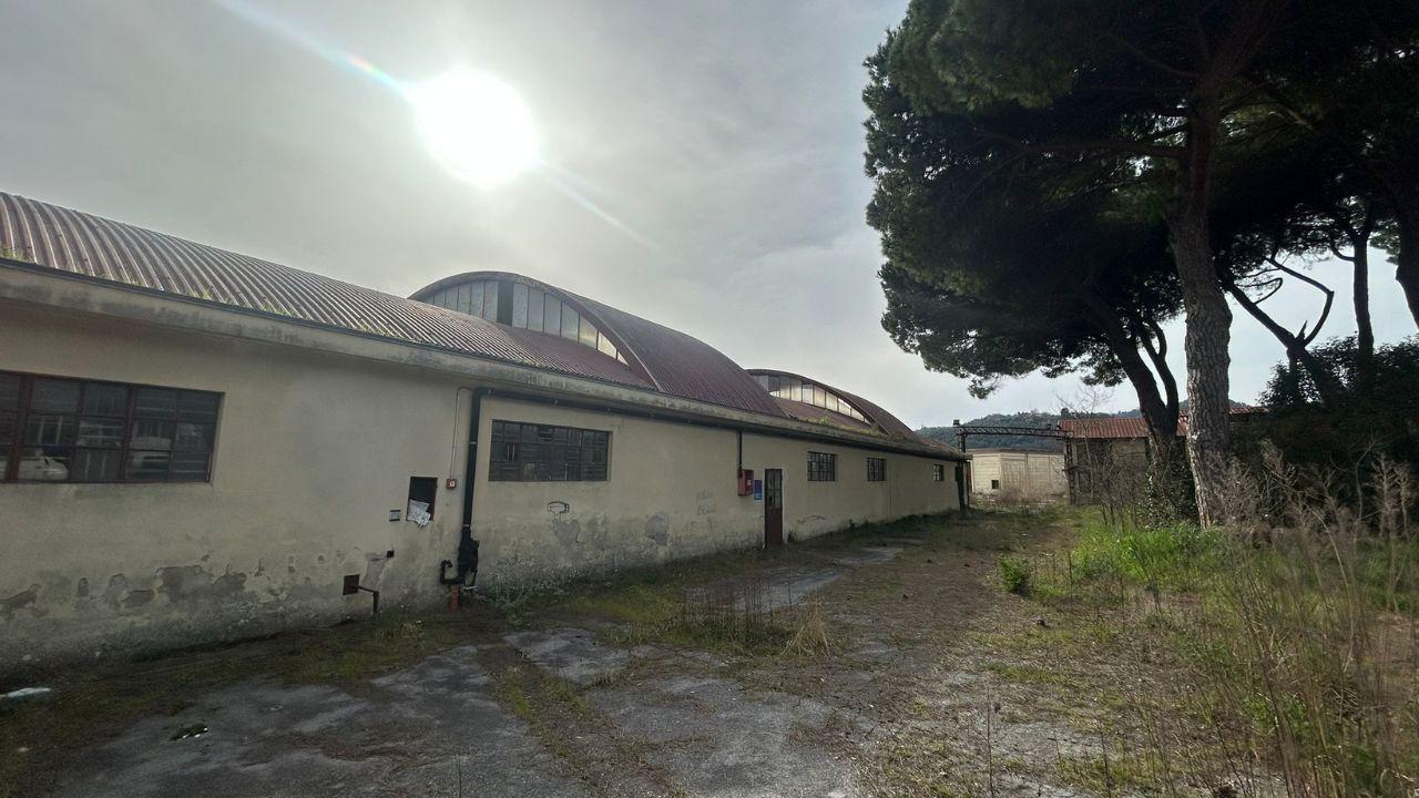 L’area dell’ex Alluminio Pardini (foto Giannini)