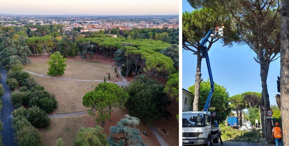 Montecatini, c’è un nuovo gestore del verde. Il sindaco: «Vogliamo una città-giardino»