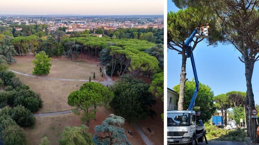 Montecatini, c’è un nuovo gestore del verde. Il sindaco: «Vogliamo una città-giardino»