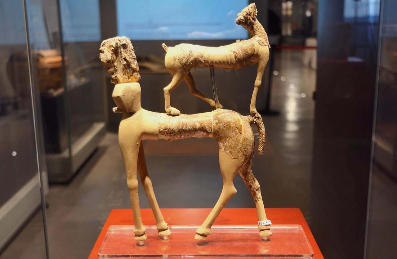 
	Un reperto etrusco in mostra al museo di Artimino

