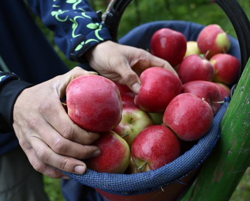 Job Day a Portomaggiore: «Così contrastiamo il caporalato»