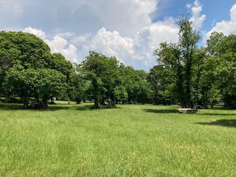 
	Il prato del Parco di Vallupaia

