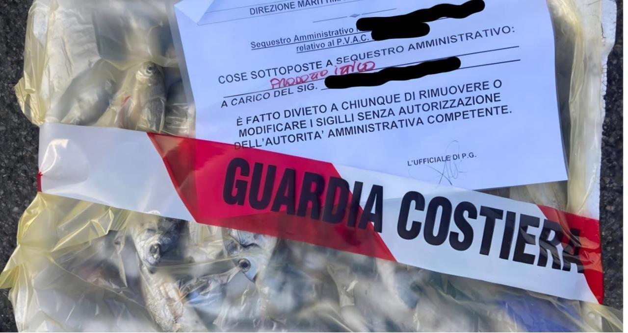 Cattiva conservazione dei prodotti, chiuso un ristorante in centro e maxi sequestro di un quintale di pesce: ecco dove
