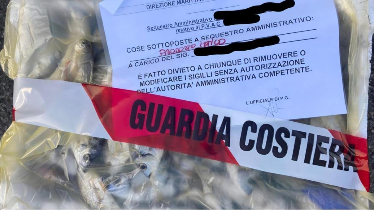 Cattiva conservazione dei prodotti, chiuso un ristorante in centro e maxi sequestro di un quintale di pesce: ecco dove