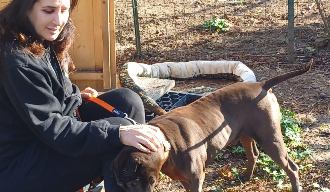 Storia di Flavia, ferrarese salvata dal cane che poi ha adottato