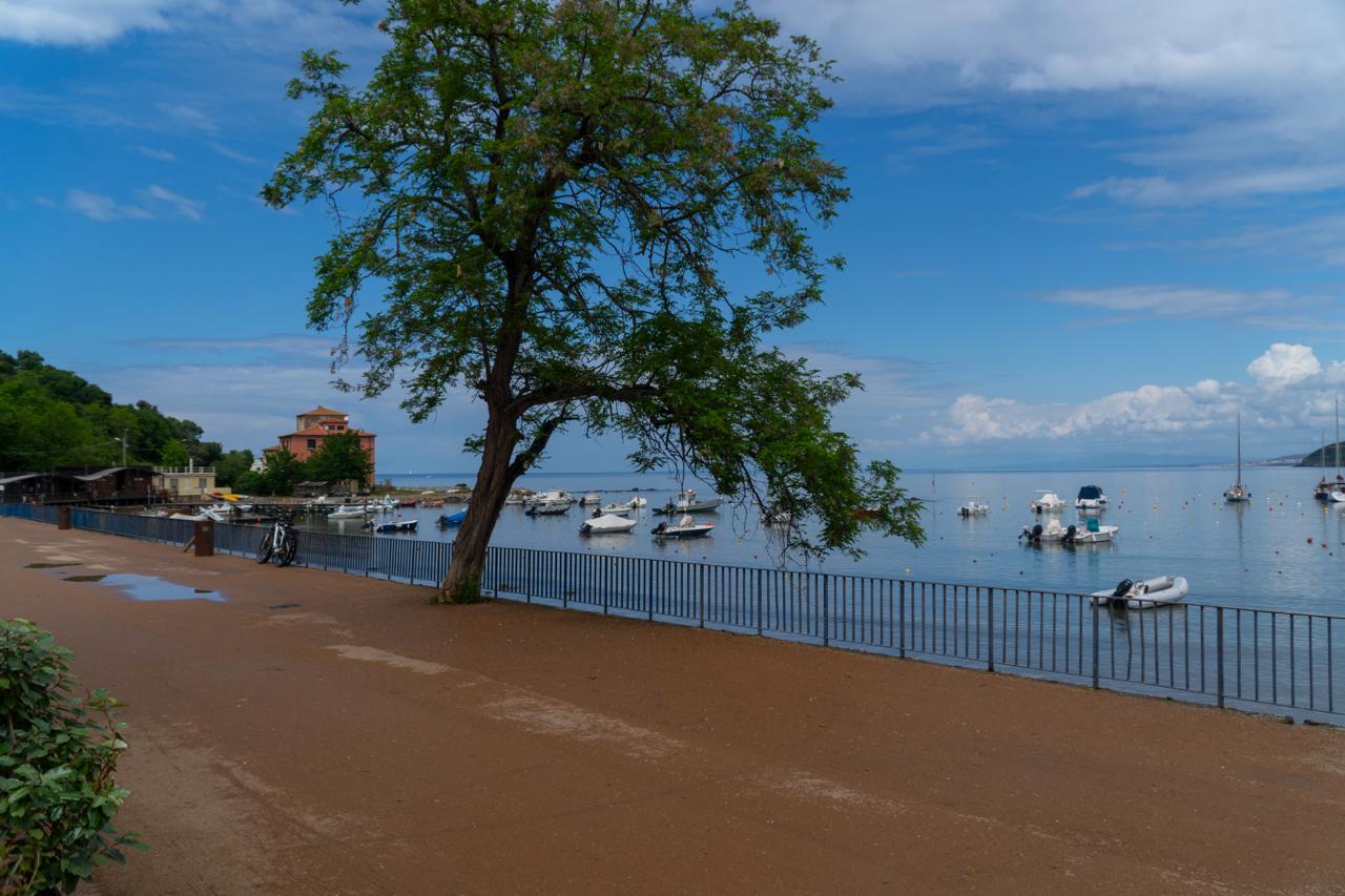 
	Il lungomare di Baratti

