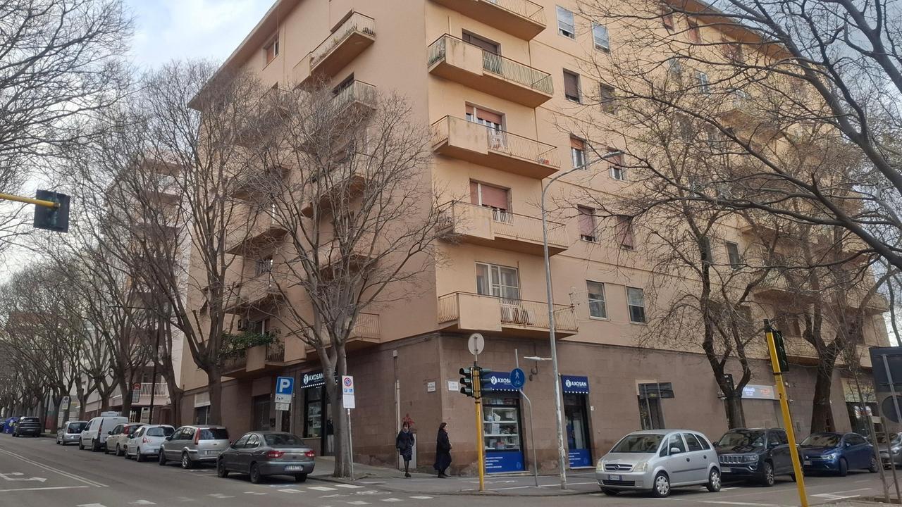 Sassari, alberi cresciuti senza controllo: in via Amendola scatta l’emergenza