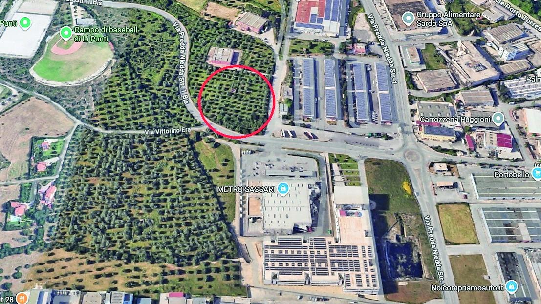 Un altro discount a Sassari: via libera all’Eurospin nell’uliveto ma scoppia la polemica – Cosa sta succedendo