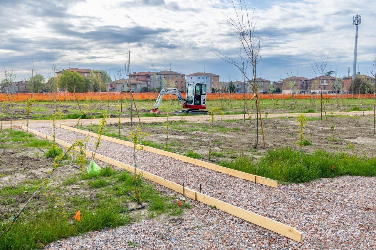 Ecco il Central Bosc: viaggio nel nuovo polmone verde di Ferrara