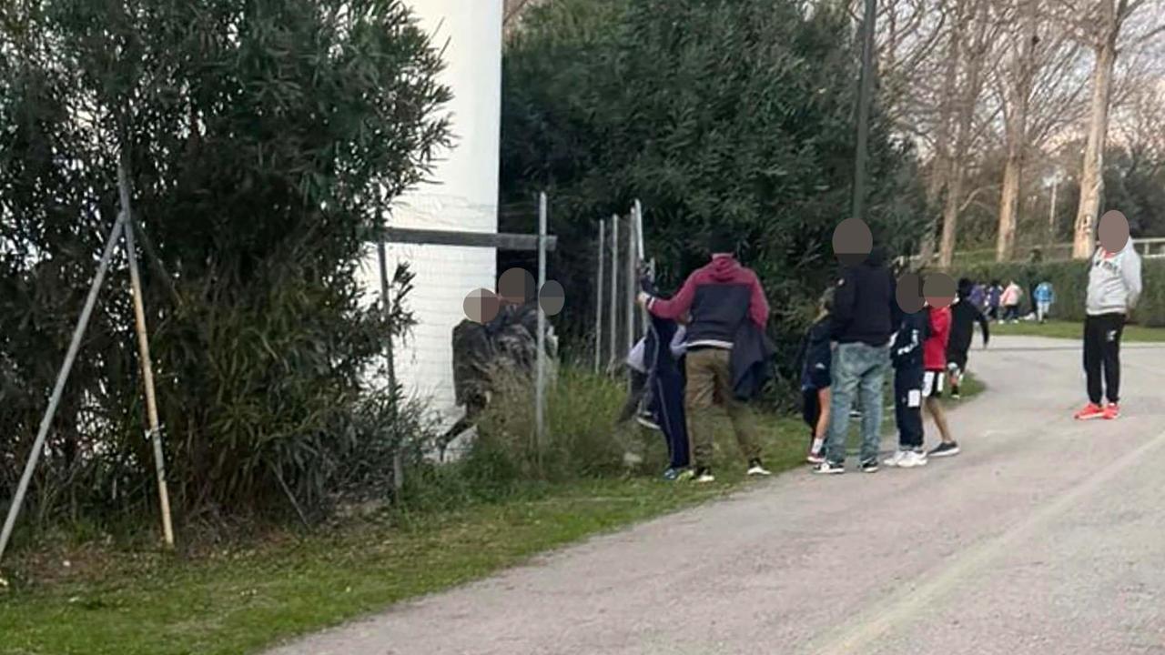 Alcuni adulti spostano la recinzione per far entrare i piccoli atleti