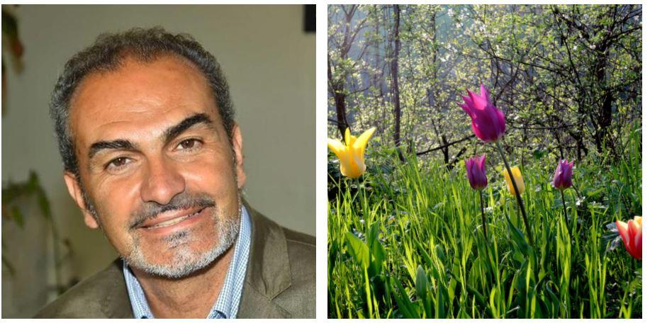 A Botteghe la camminata dei tulipani nel ricordo di Matteo Incerti Albinea