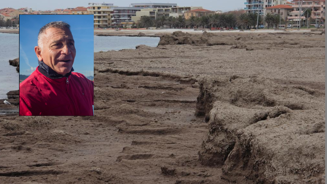 «No, la posidonia non è un’alga, basta demonizzarla. E vi spiego perché è un’amica delle spiagge»