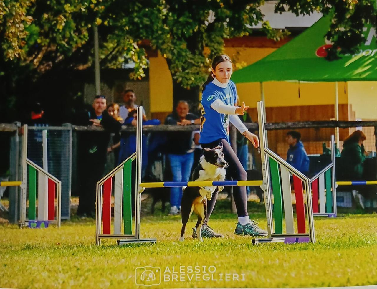 Nausicaa e Ola convocate alla Nanazionale agility dog