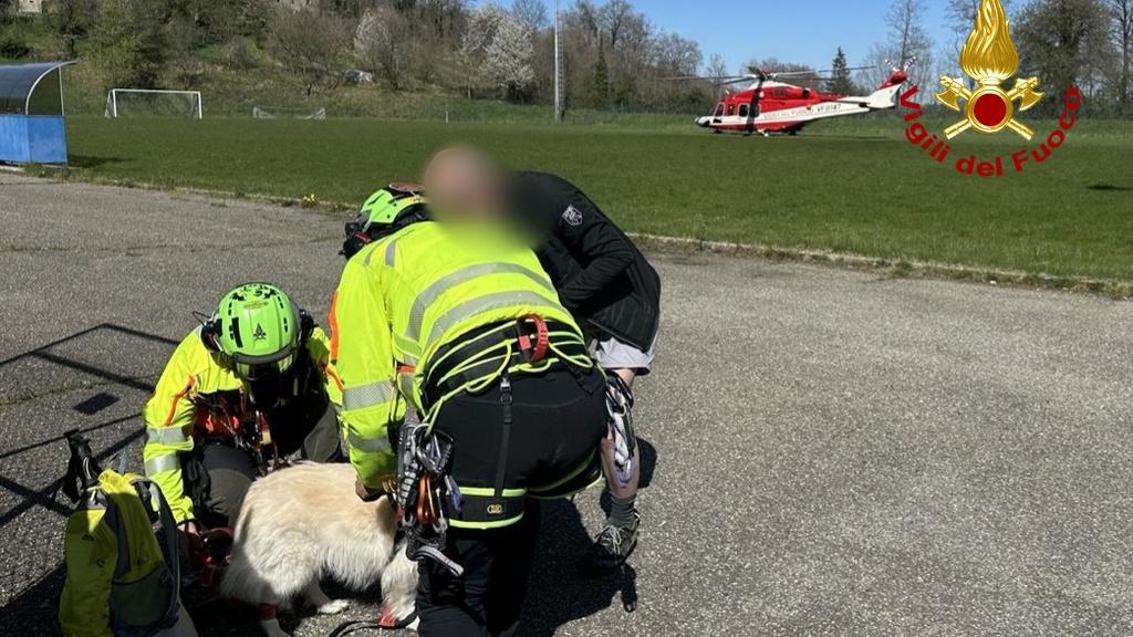 Escursionista disperso sulla neve con il proprio cane: dall’elicottero dei Vigili del Fuoco