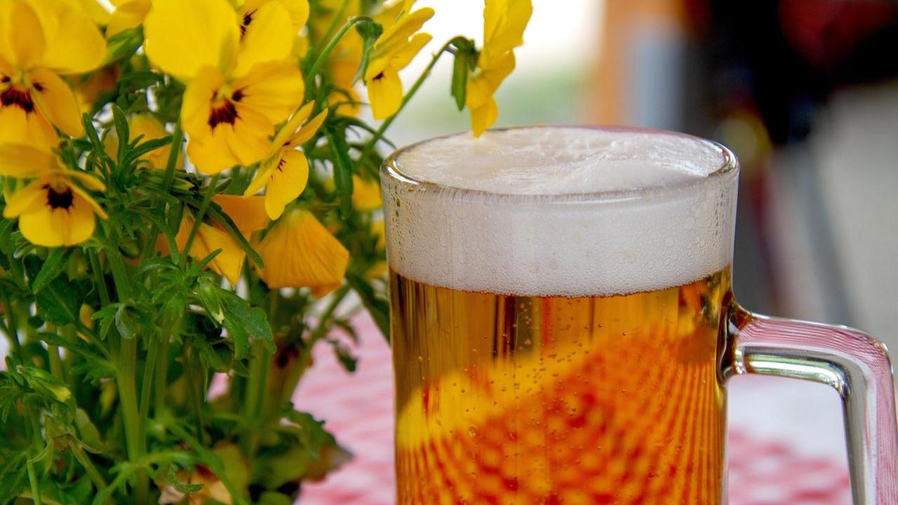 Cavriago crea la sua birra: saranno i cittadini a scegliere gusto e identità