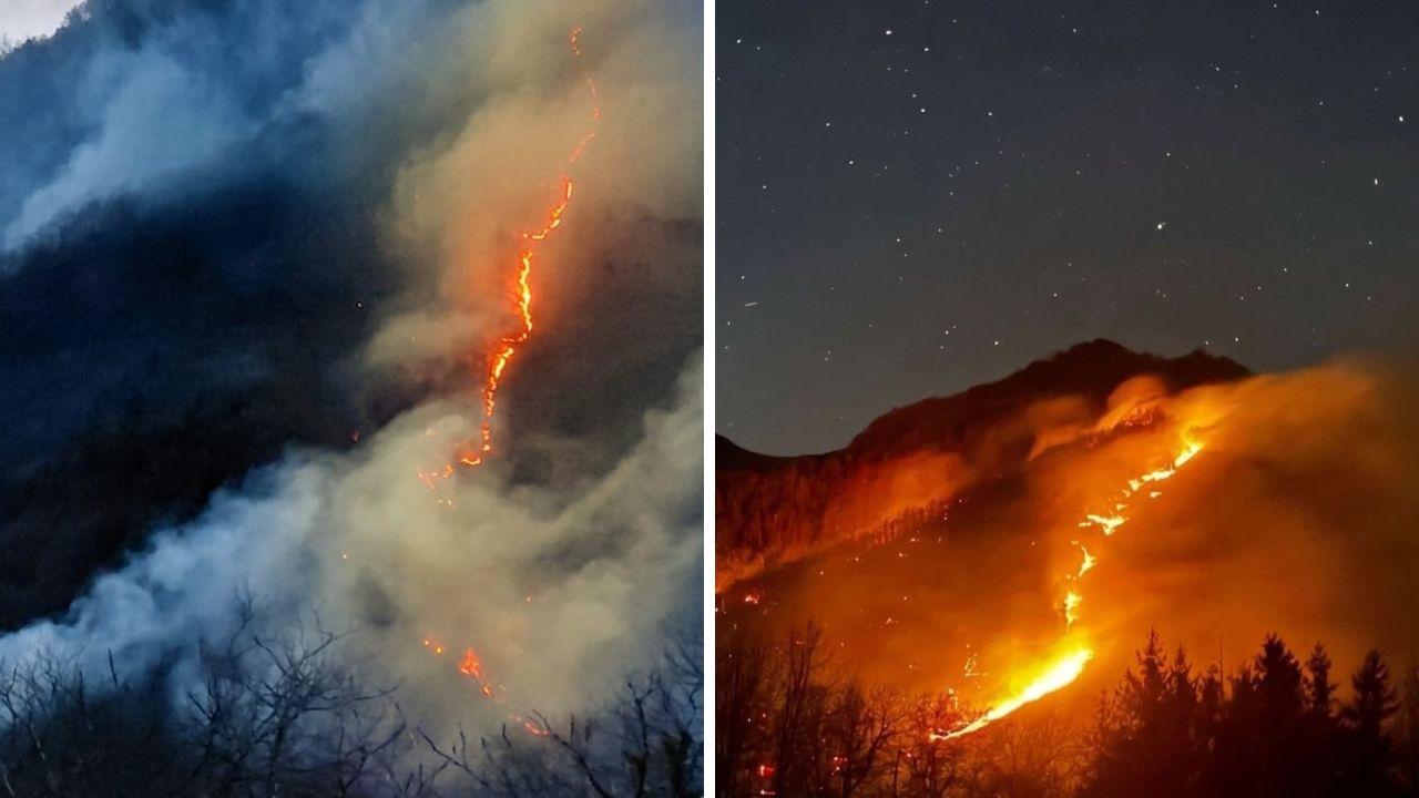 
	Il fronte dell'incendio (Foto: vigili del fuoco)

