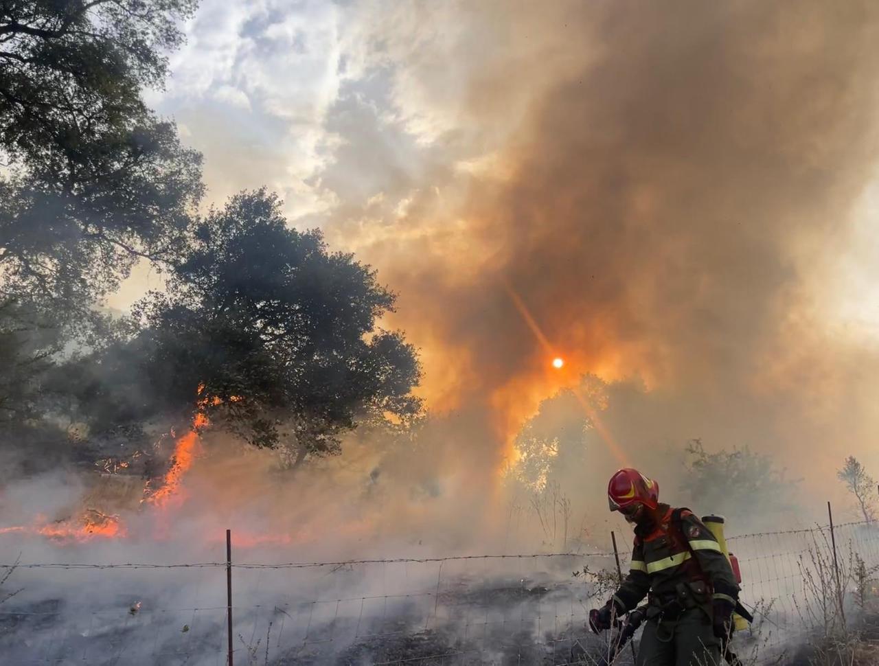 Incendio in campagna, interviene l’elicottero della Forestale