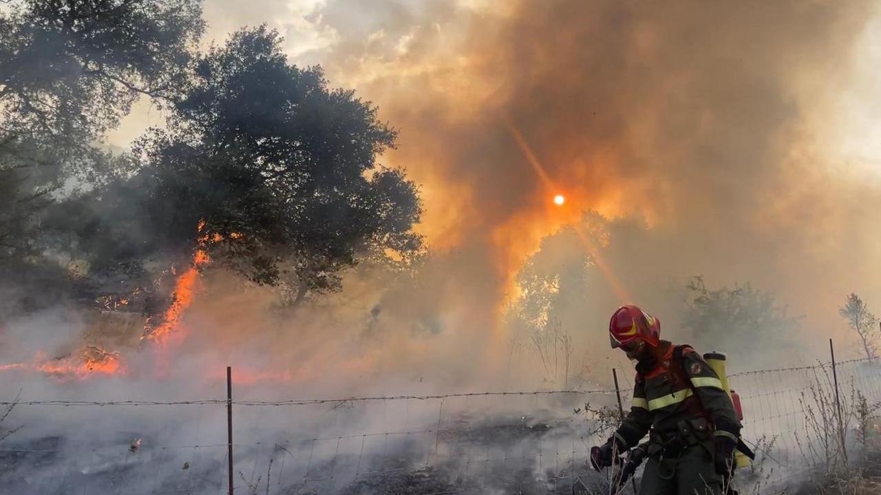 Incendio in campagna, interviene l’elicottero della Forestale