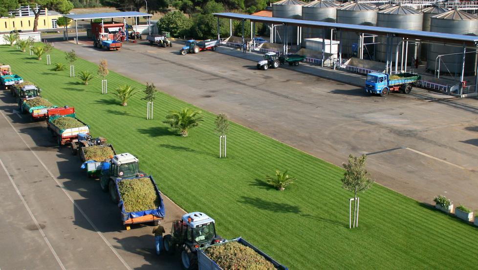 L’estate infinita rende straordinaria la vendemmia 