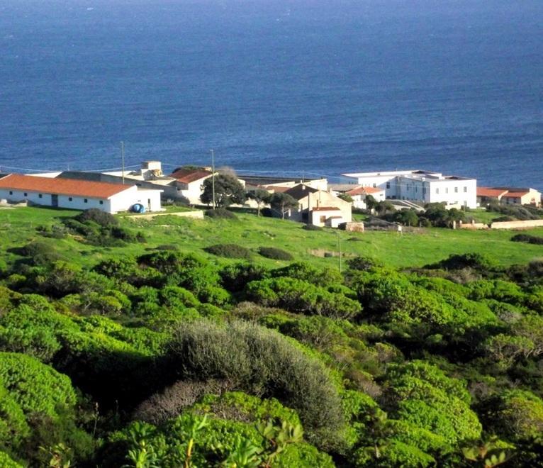 Asinara, lettera al ministro «Strade, ma anche edifici» 