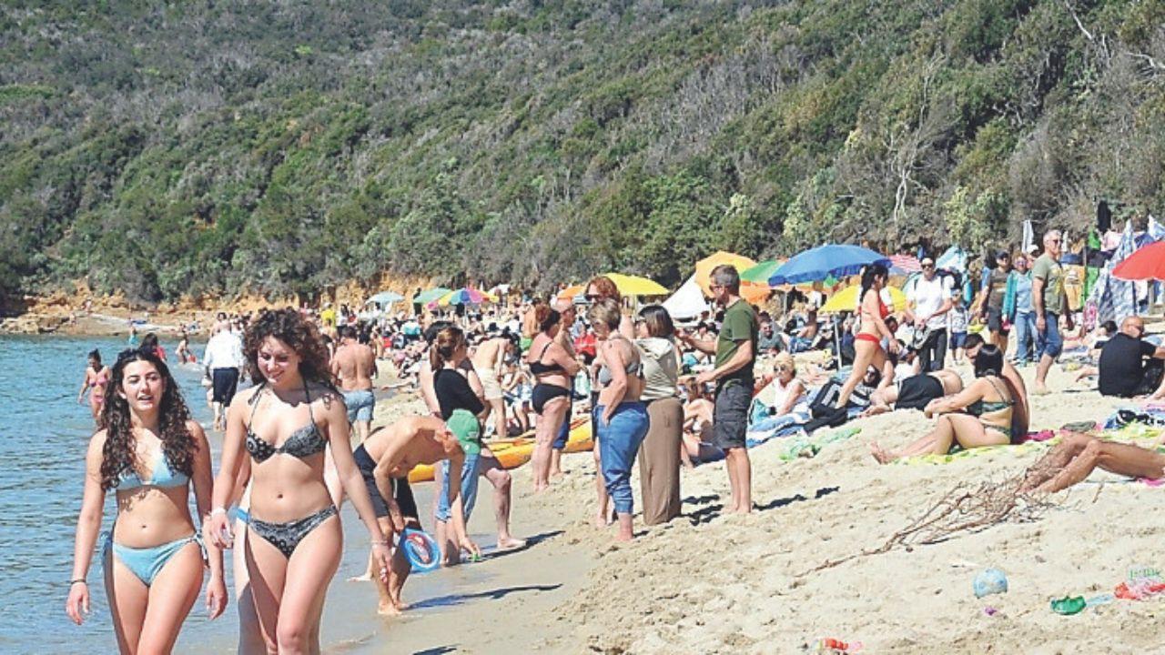 
	Cala Violina a Pasquetta (Foto Giancarlo Grassi)

