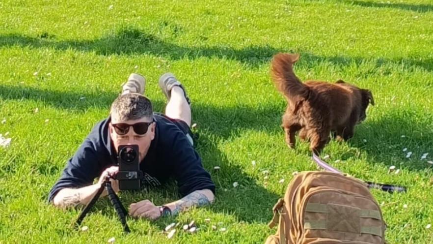 Cane investito per dispetto da un’auto pirata: Choco muore fra le braccia del padrone – Il video appello e le indagini della polizia