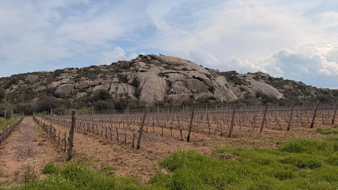 Più acqua e meno sprechi, Arzachena vuole realizzare una rete irrigua nella valle di Surrau: «Servono risorse, la Regione ci aiuti» – I dettagli del progetto