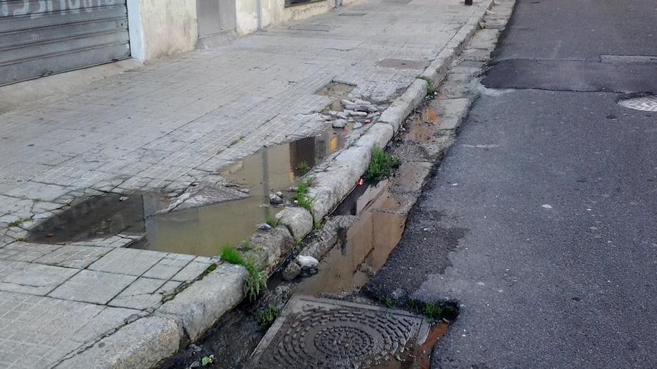 Via Cedrino, una strada invasa dai liquami