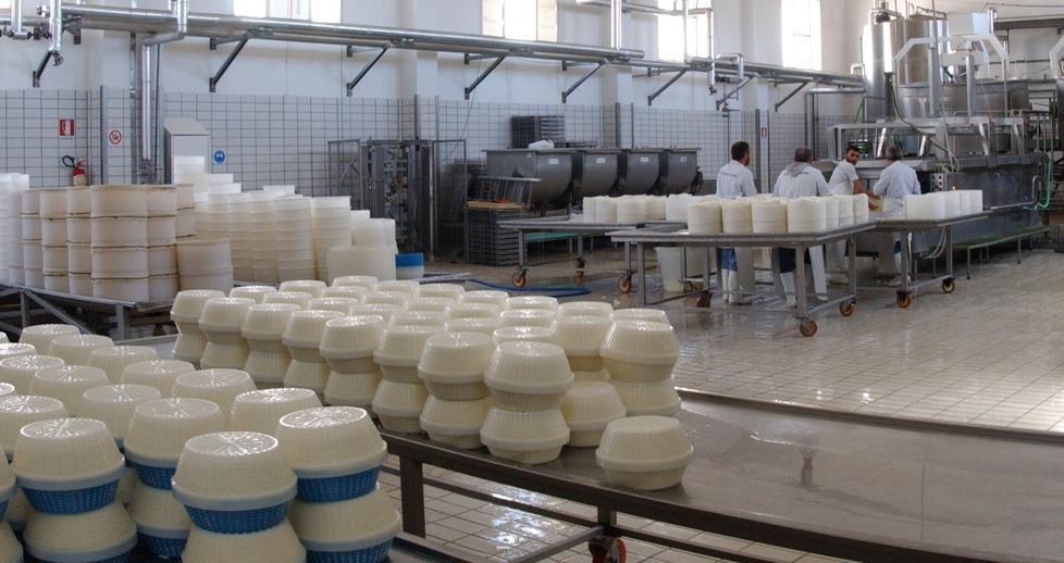 Dorgali produce formaggio senza lattosio 