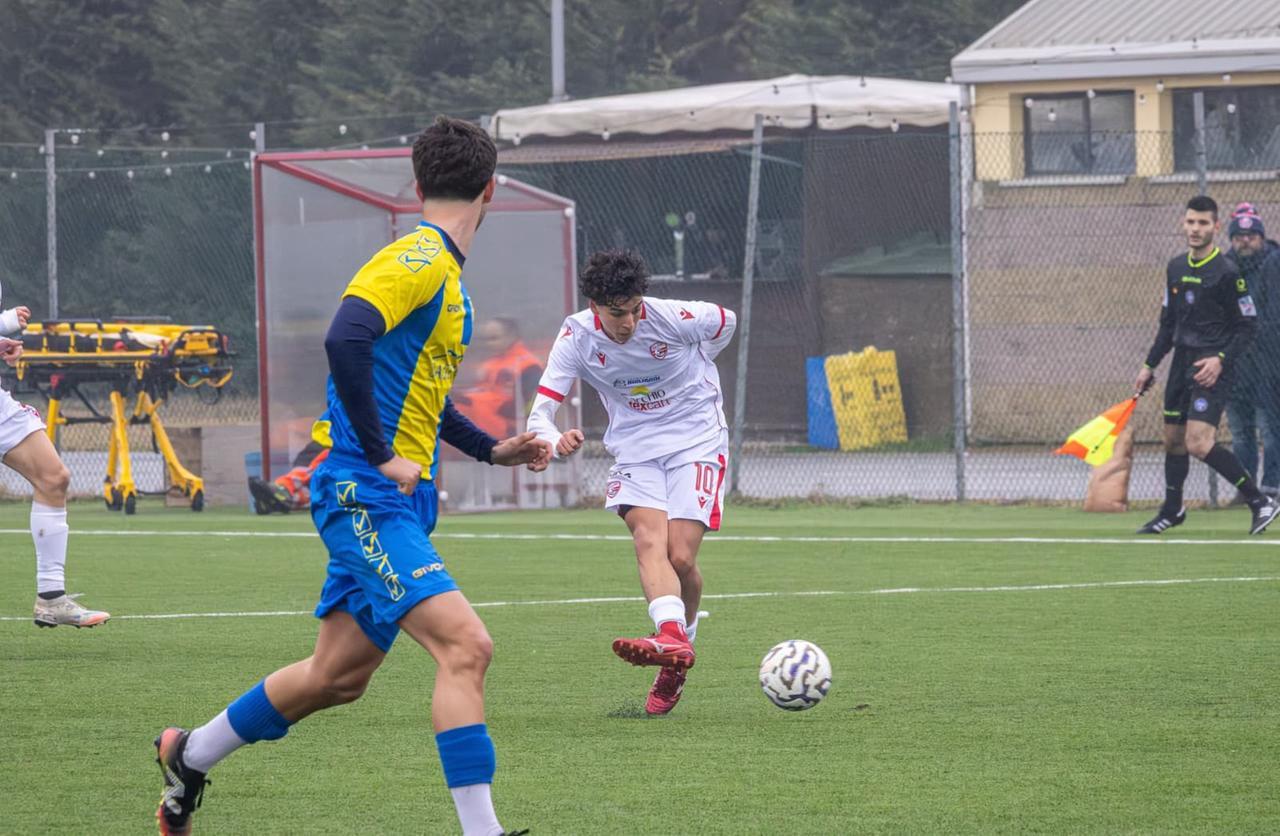 
	Giuseppe Pizzo, carpigiano doc

