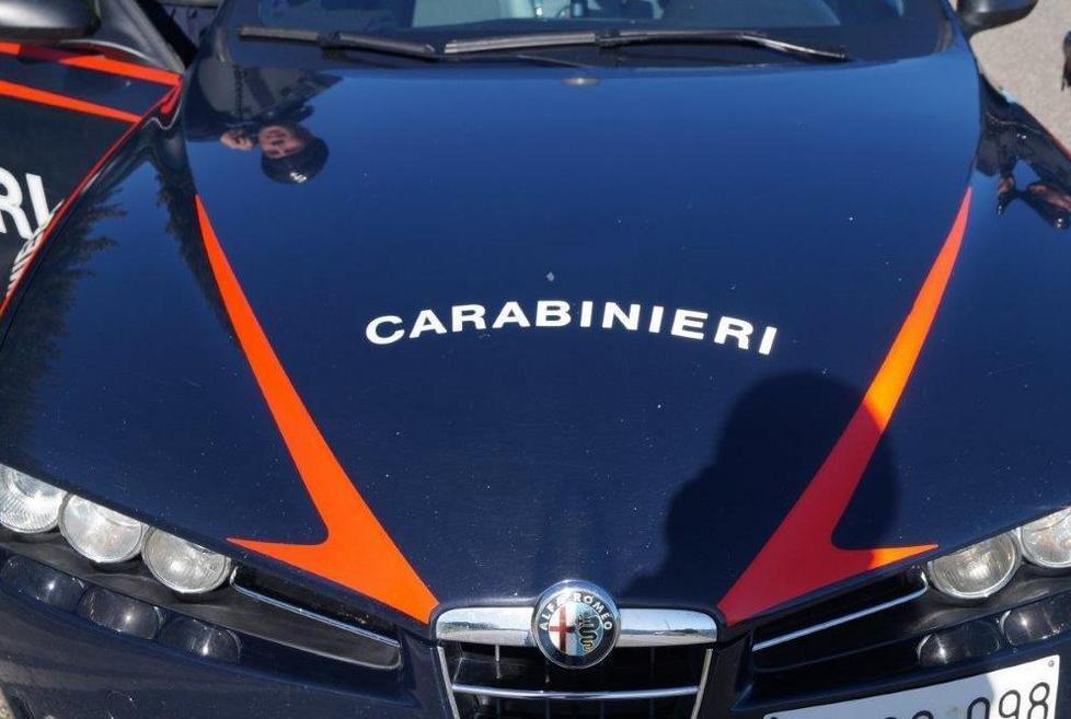 Trovata marijuana vicino a una scuola 