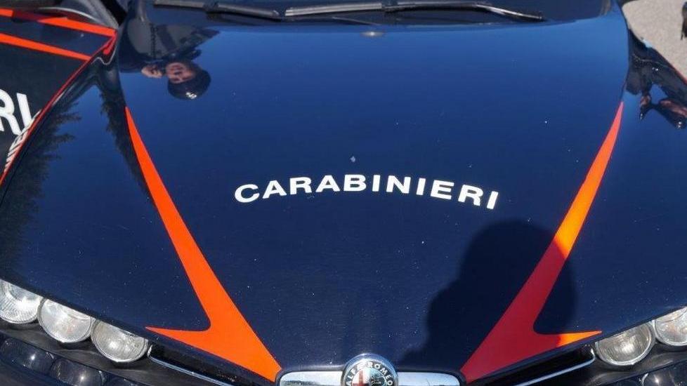 Trovata marijuana vicino a una scuola