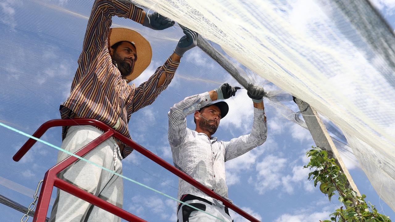 Caporalato, Portomaggiore sfida gli sfruttatori e gioca in attacco