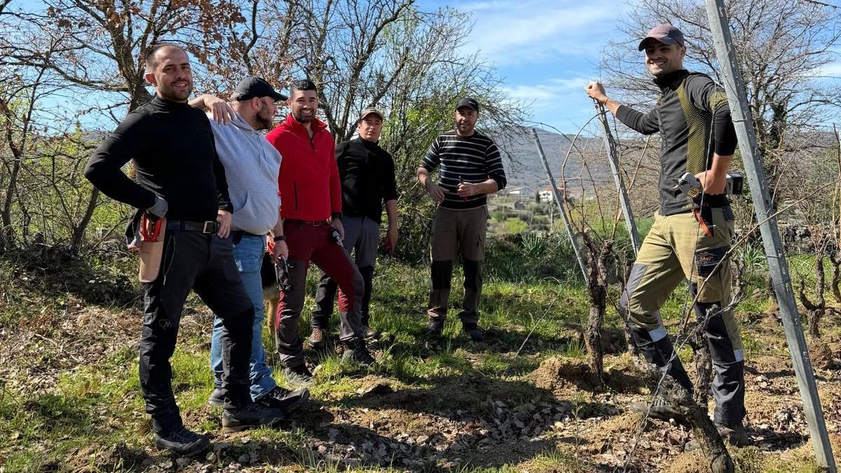 Cinque vignaiuoli e un cuoco insieme, Mamoiada fa squadra a Foddiheddu