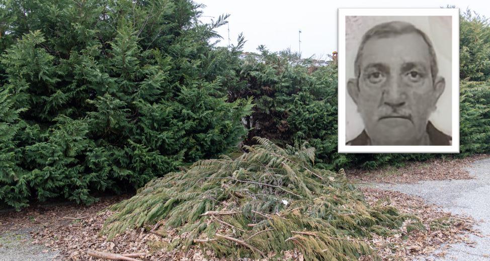 Lido Scacchi, 71enne muore mentre pota la siepe