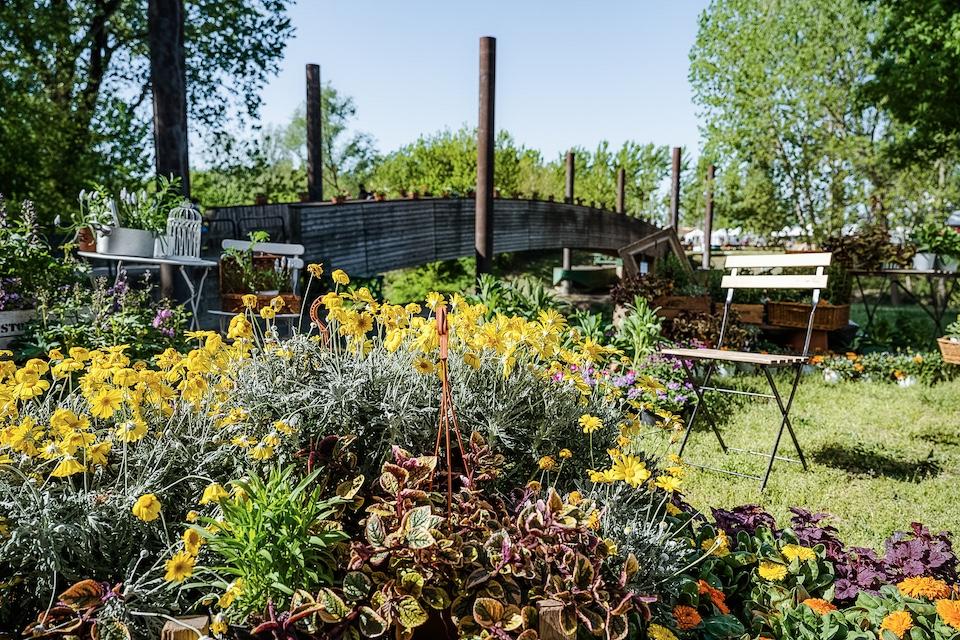 A Guastalla arriva Rive Rare: 180 espositori e 50 eventi per il nuovo festival del Lido Po