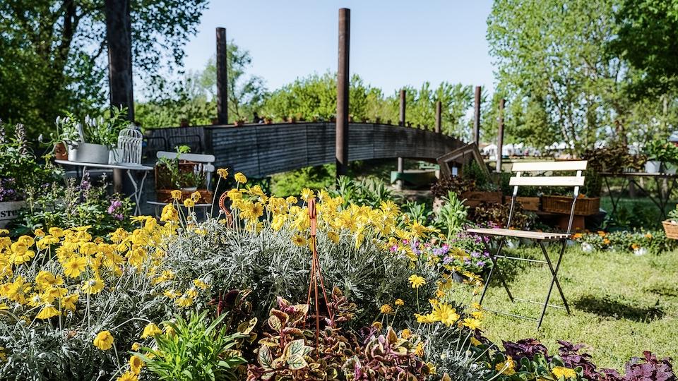 A Guastalla arriva Rive Rare: 180 espositori e 50 eventi per il nuovo festival del Lido Po