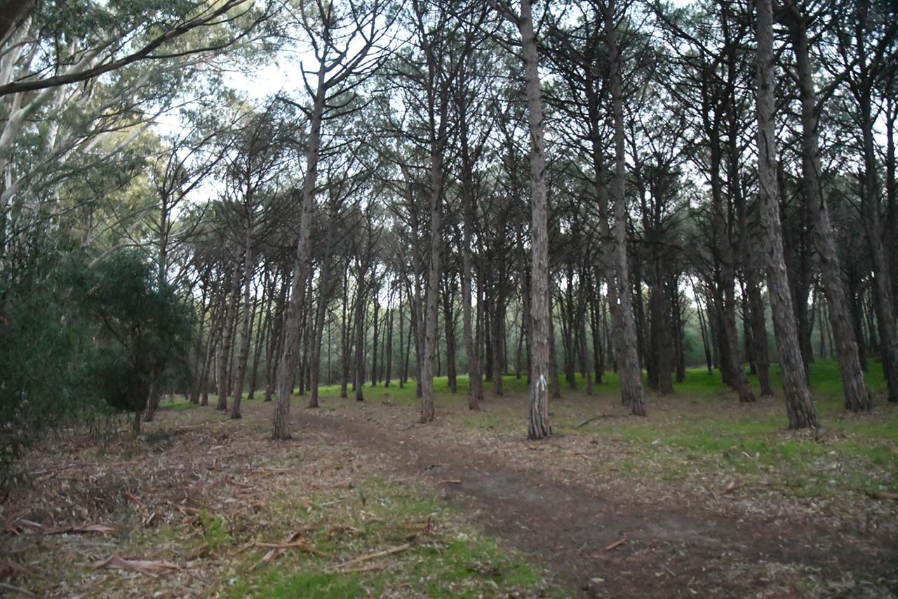 Torregrande la pineta