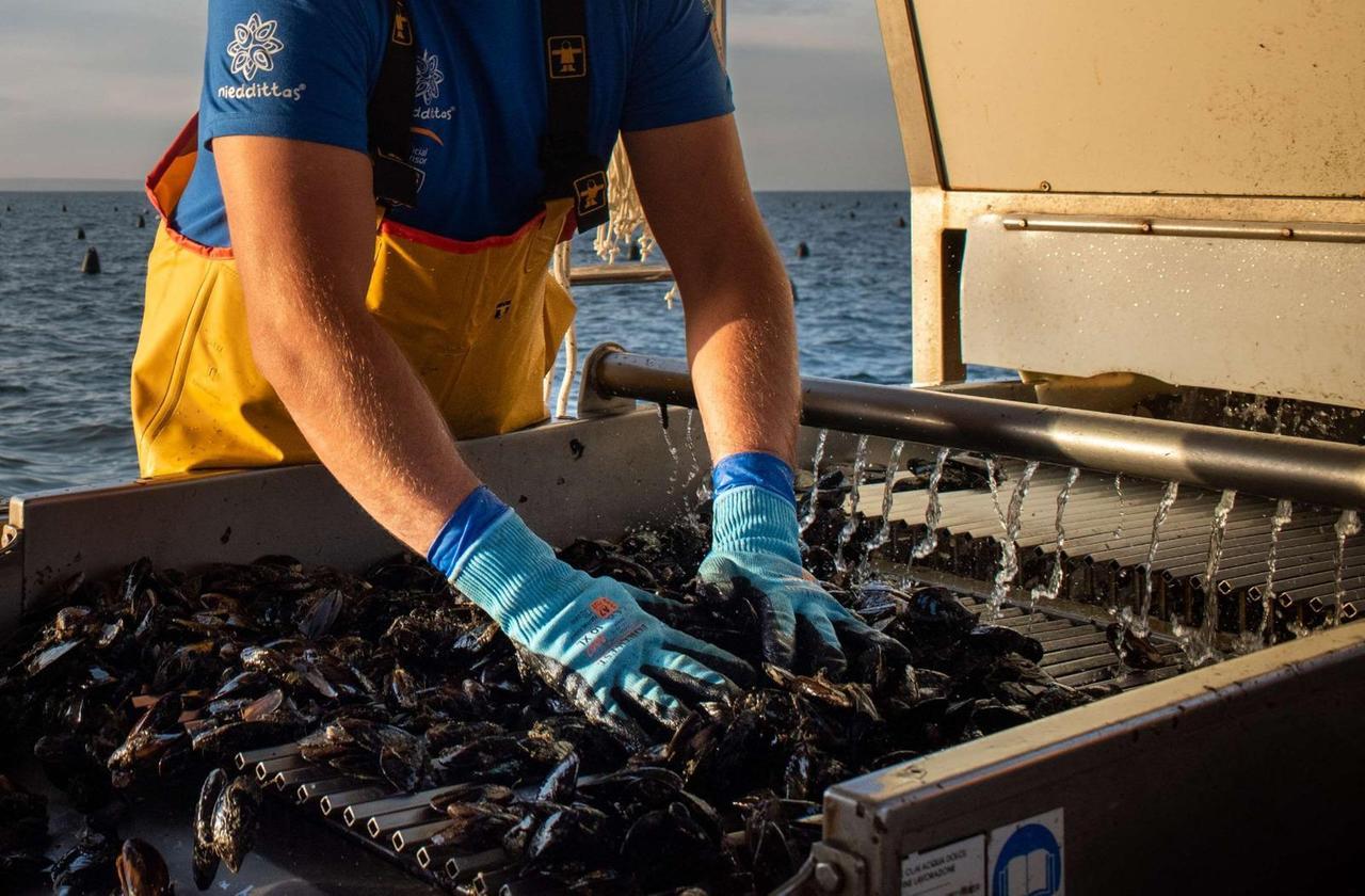 Dal laboratorio all’acquacoltura: la scienza lavora con le imprese