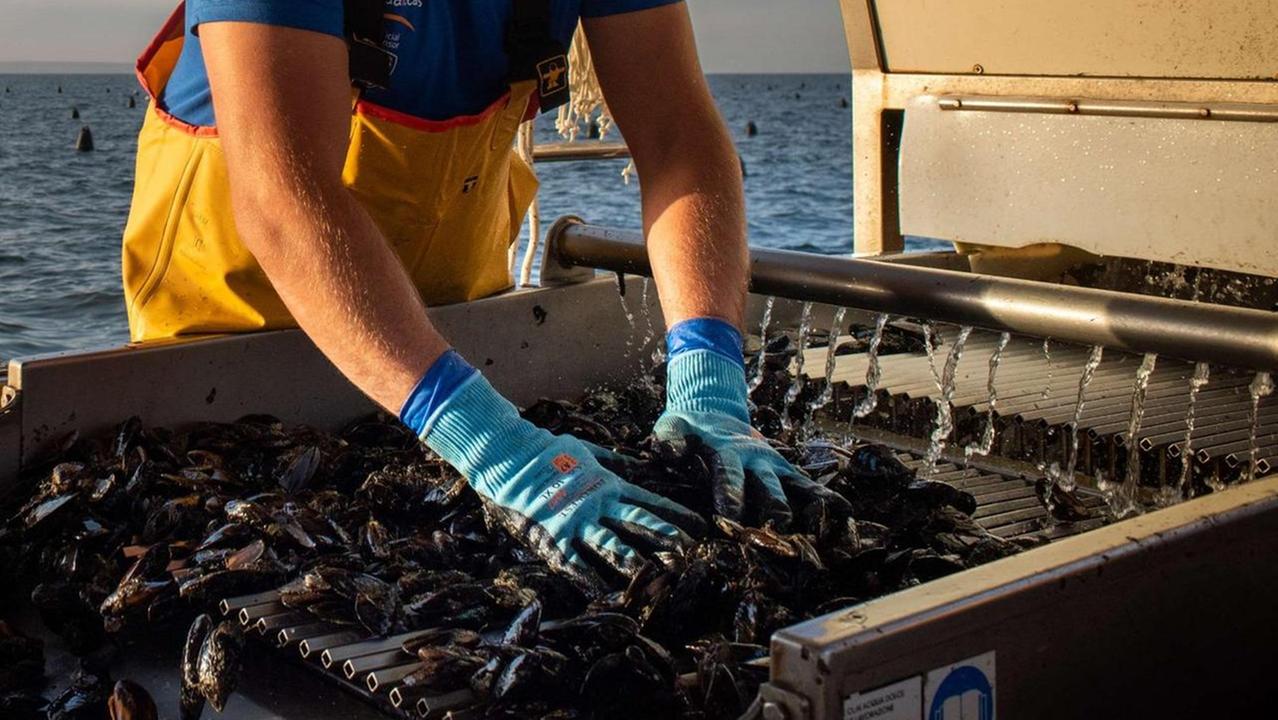Dal laboratorio all’acquacoltura: la scienza lavora con le imprese