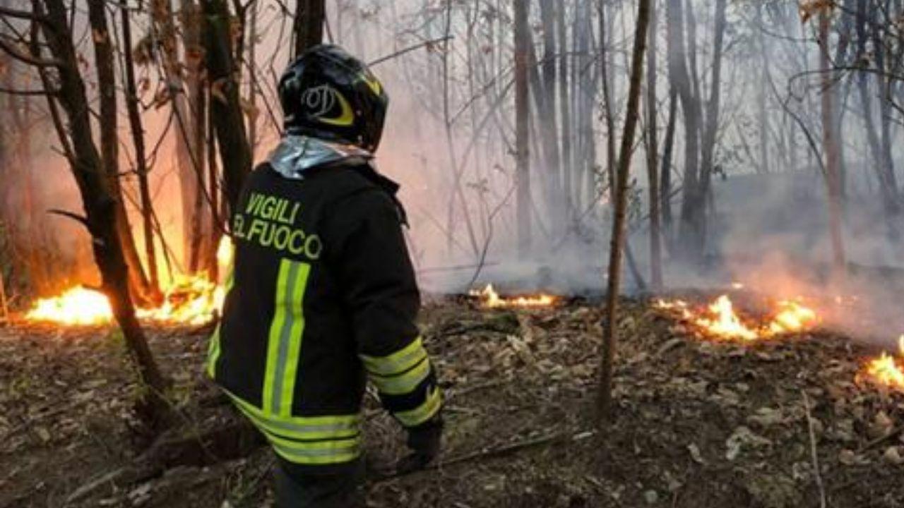 L'intervento dei vigili del fuoco