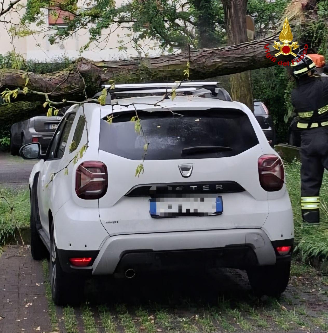 Pianta cade su un’auto nel parcheggio della piscina di via Melato