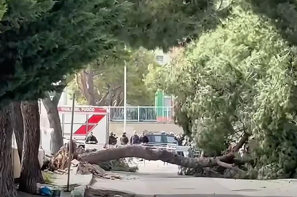 Maltempo, 2 morti per il vento: ragazza di 12 anni travolta da un albero, operaio da un palo della luce