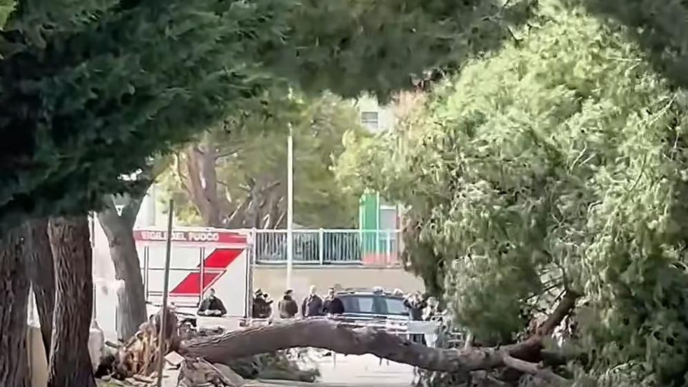 Maltempo, 2 morti per il vento: ragazza di 12 anni travolta da un albero, operaio da un palo della luce