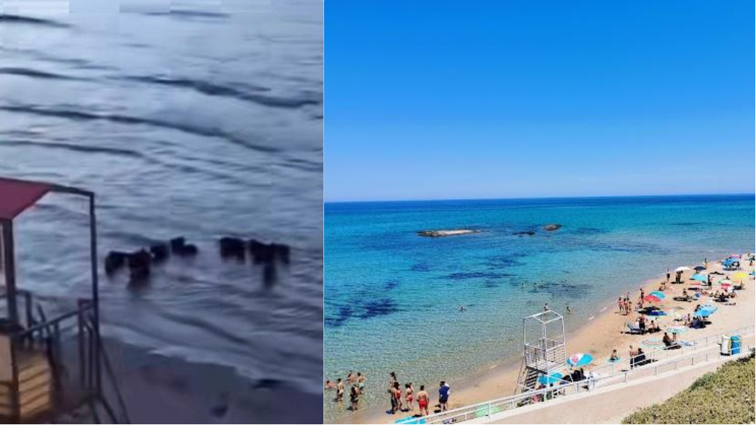 Primi “turisti” in spiaggia: guarda il VIDEO