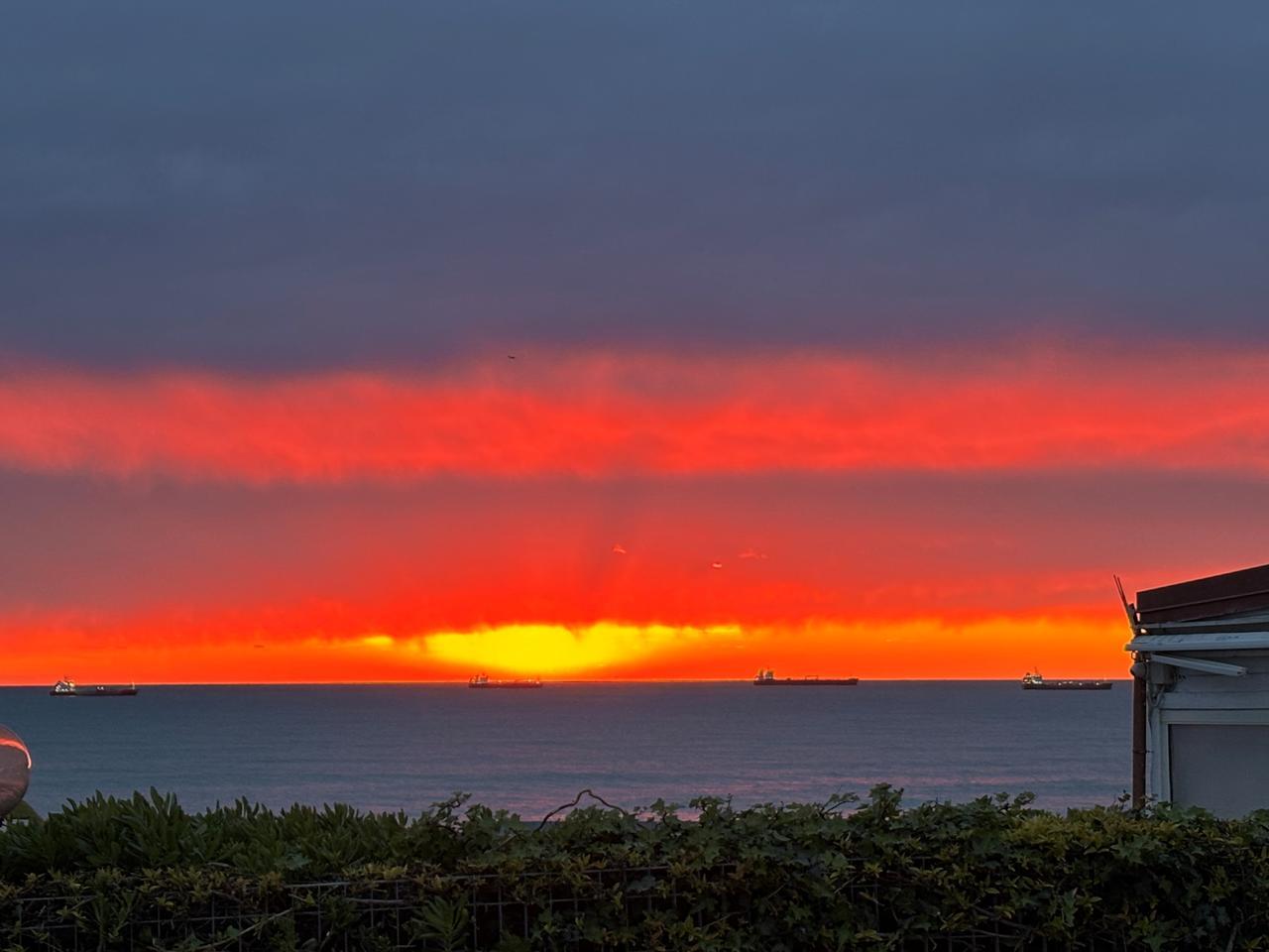 Cartolina da Livorno. Grazie a Francesca Martelli